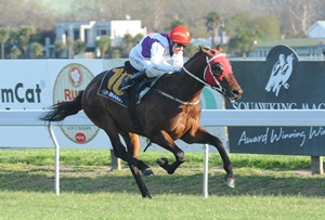 Ocean Park Makfi Stakes